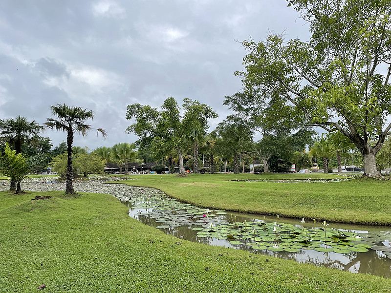 西双版纳州中科院西双版纳热带植物园热带雨林实景