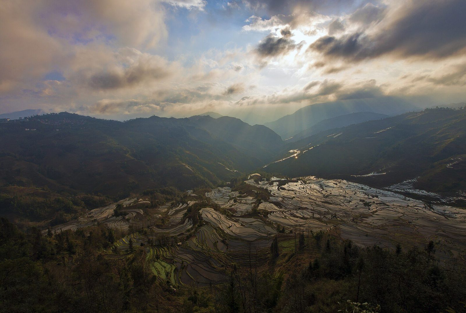 红河元阳梯田