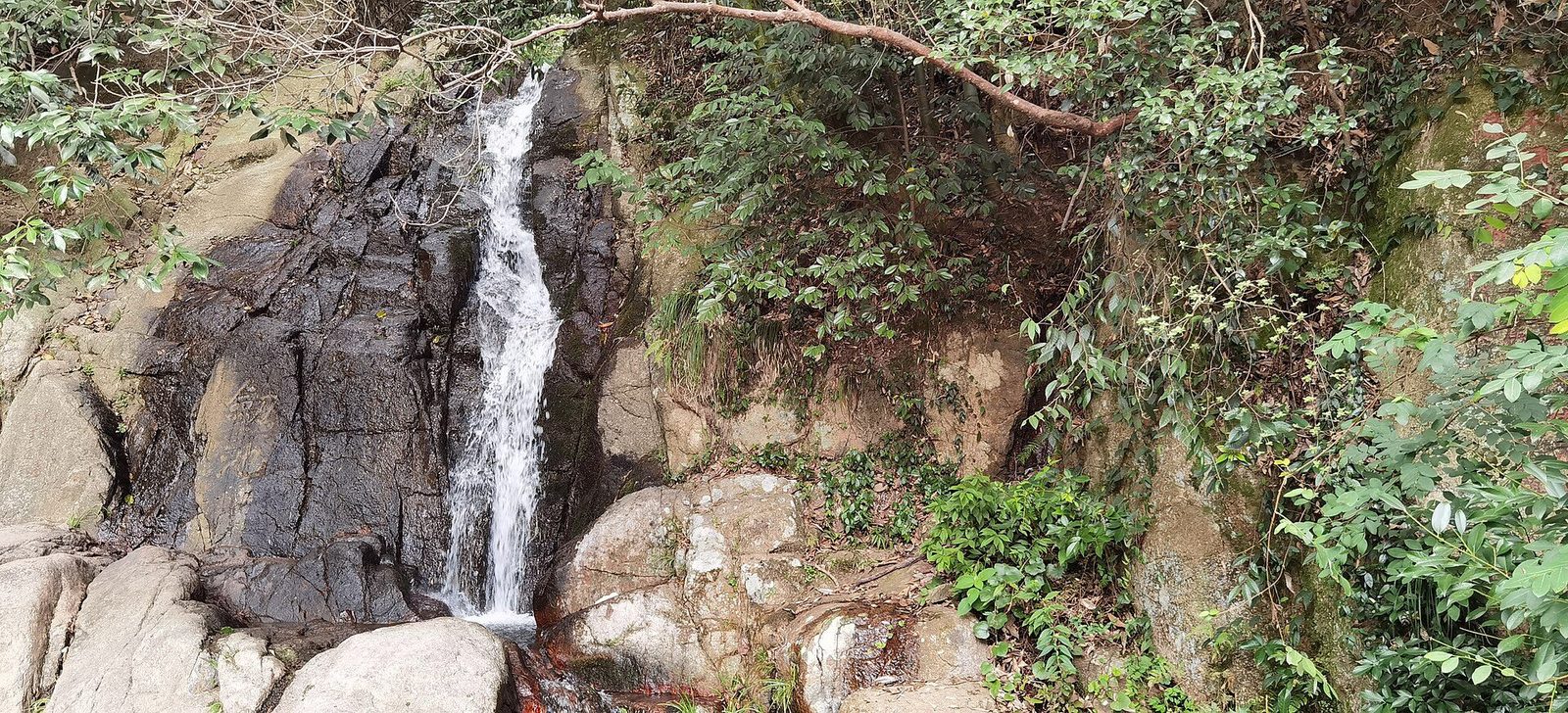 湖州莫干山