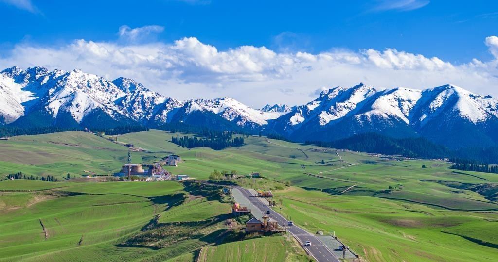 昌吉回族自治州江布拉克景区万亩麦田实景