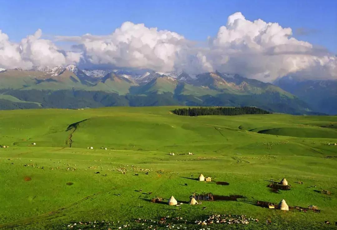 伊犁哈萨克自治州喀拉峻景区喀拉峻草原实景