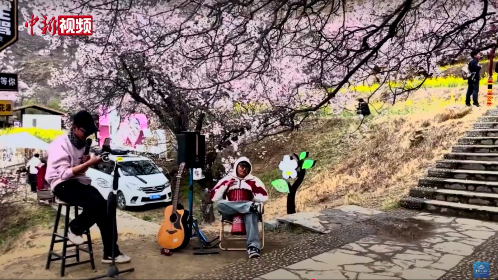 林芝桃花沟