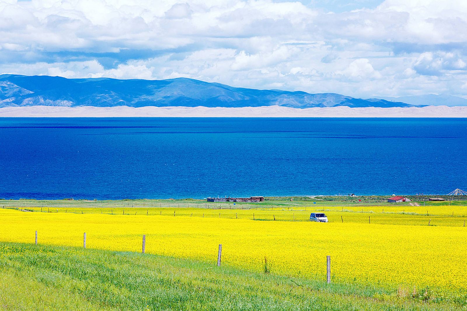 青海湖风景区青海湖油菜花实景