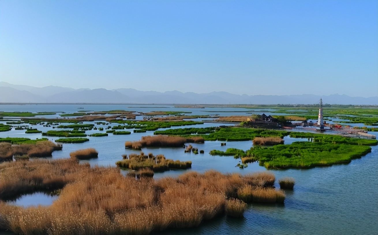 银川沙湖