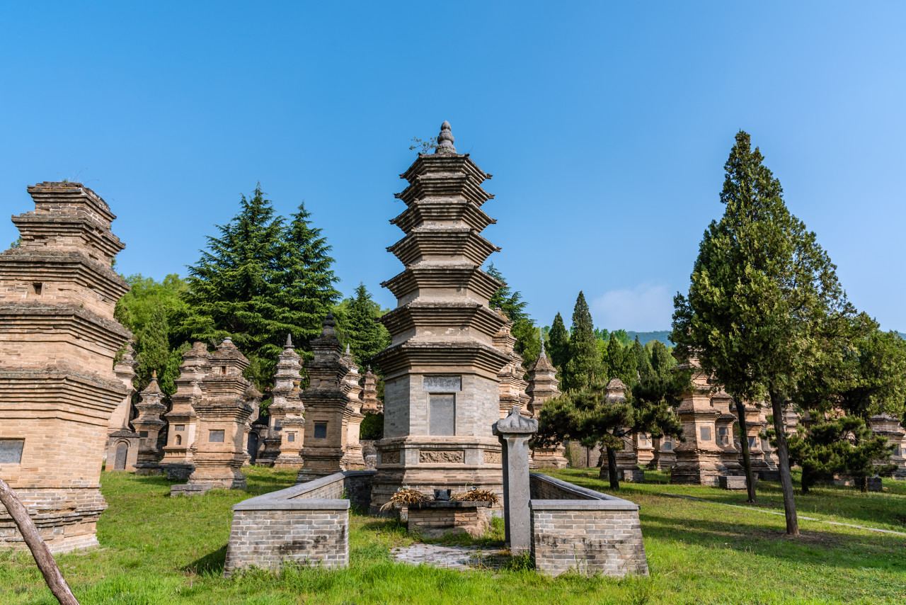 郑州市嵩山少林景区塔林实景