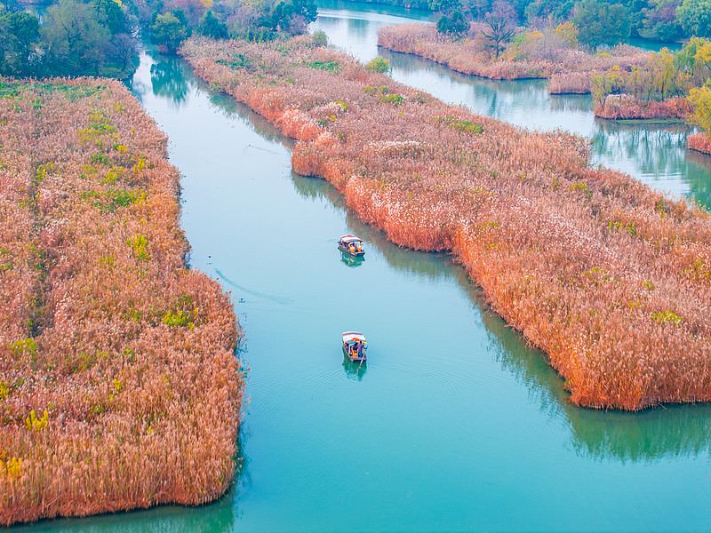 杭州市西溪湿地旅游区秋芦飞雪实景