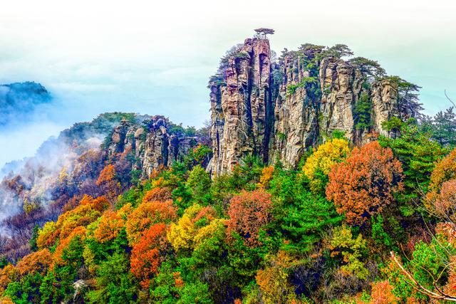 沂蒙山旅游区龟蒙顶云海实景