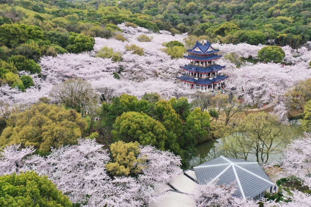 无锡市鼋头渚旅游风景区鼋头渚实景